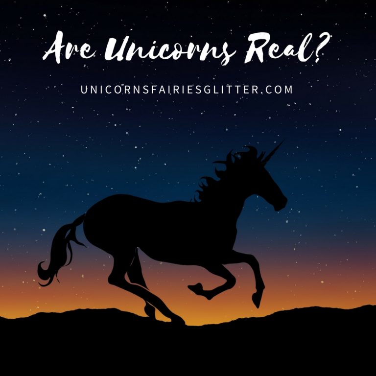 Are Unicorns Real? Unicorns, Fairies & Glitter