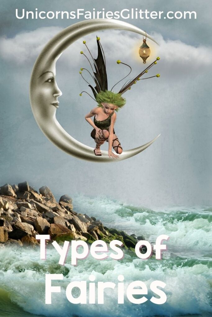 Types of Fairies