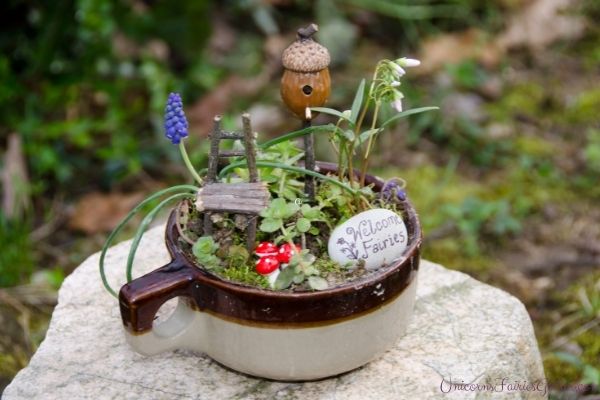 How To Make A Fairy Garden
