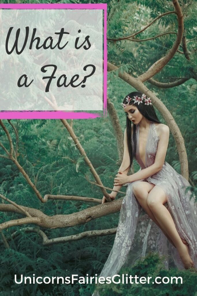 What is a Fae